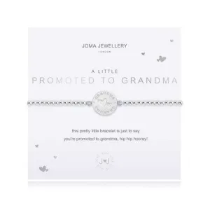 A Little Promoted To Grandma Silver 17.5cm Stretch Bracelet 3887